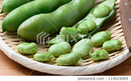 Broadcasting 114024809