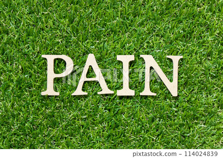 Wood letter in word pain on green grass background Wood letter in word pain on green grass background 114024839