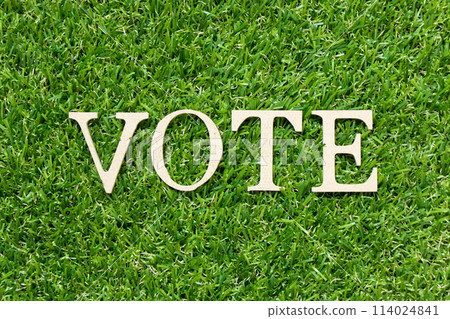 Wood letter in word vote on green grass background Wood letter in word vote on green grass background 114024841