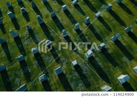 Aerial View of Cemetery Headstones and Grass with Long Shadows 114024900