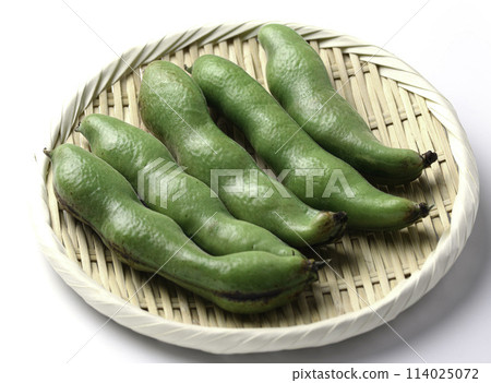 蠶豆（白色背景） 114025072