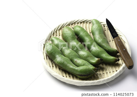 蠶豆(白色背景) 蠶豆(白色背景) 114025073
