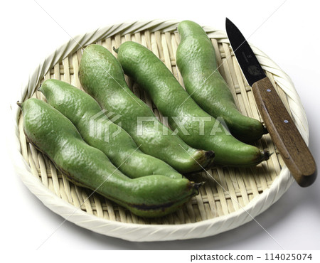 Broad beans (white background) Broad beans (white background) 114025074