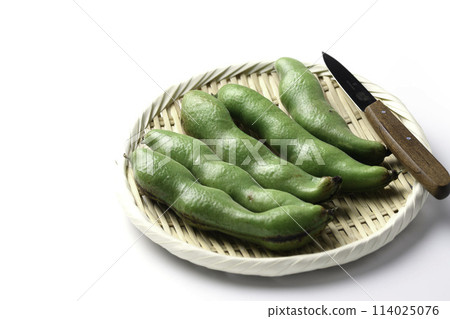 Broad beans (white background) 114025076