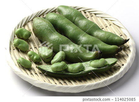 蠶豆（白色背景） 114025085