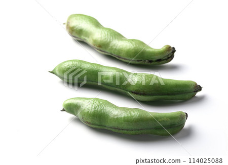 Broad beans (white background) Broad beans (white background) 114025088