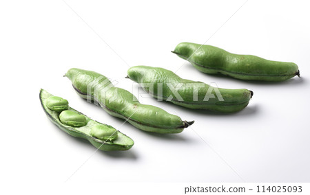 Broad beans (white background) Broad beans (white background) 114025093