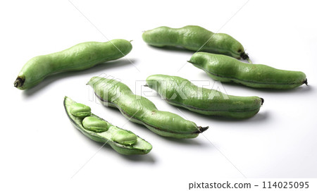 Broad beans (white background) Broad beans (white background) 114025095