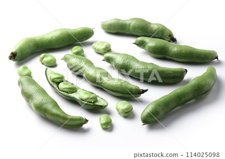 Broad beans (white background) Broad beans (white background) 114025098