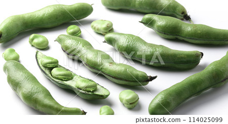 Broad beans (white background) 114025099