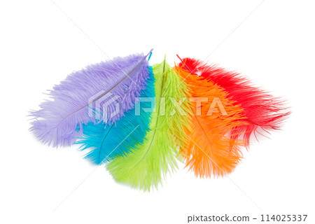 many colorful fluffy feathers isolated on the white many colorful fluffy feathers isolated on the white 114025337