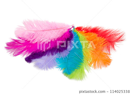 many colorful fluffy feathers isolated on the white many colorful fluffy feathers isolated on the white 114025338