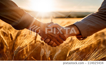 Two Farmers Shake Hands in a Wheat Field at Dawn - Generative Ai 114025434