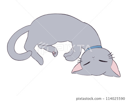 可愛的貓姿勢 114025590