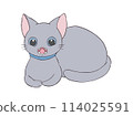 可愛的貓姿勢 114025591