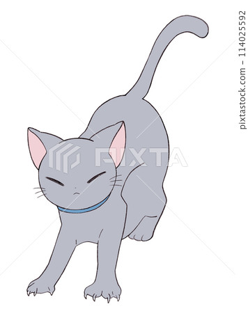 可愛的貓姿勢 114025592