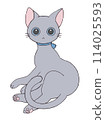 可愛的貓姿勢 114025593