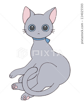 可愛的貓姿勢 可愛的貓姿勢 114025593