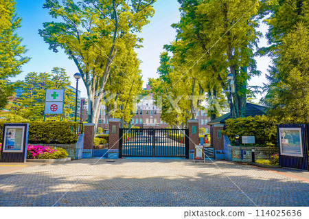 Seikei大學 Seikei大學 114025636