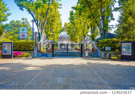 Seikei University 114025637