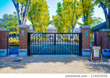 Seikei University 114025638
