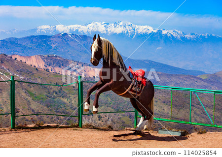 Horse at Chimgan mountain viewpoint, Uzbekistan 114025854