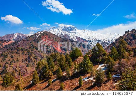 Beldersay mountain in Chimgan region, Uzbekistan 114025877
