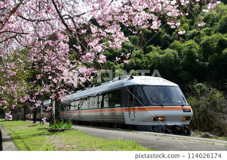Spring at Stork Village Station 114026174