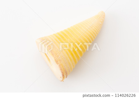 白色背景上的煮竹筍 114026226
