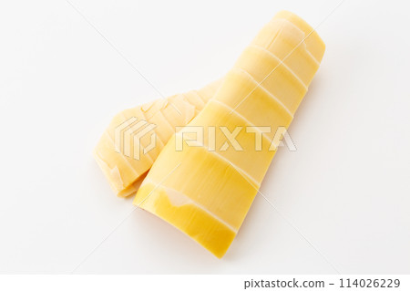 Boiled bamboo shoots on a white background Boiled bamboo shoots on a white background 114026229