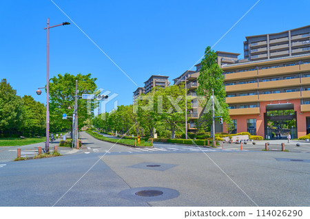 Looking northwest toward 3-chome from the Wakabadai-nishi intersection in Wakabadai 2-chome, Inagi City, Tokyo in spring 114026290
