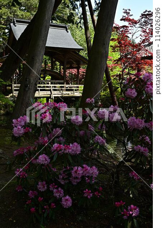 白五寺庭園 白五寺庭園 114026296
