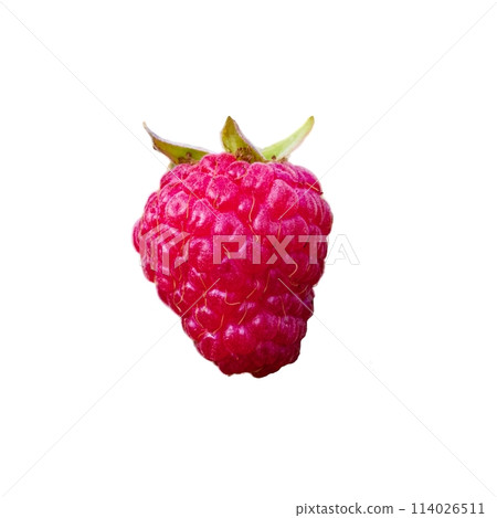 High-resolution image capturing the detailed texture and bright color of a fresh raspberry; excellent for use in marketing materials promoting healthy eating. 114026511