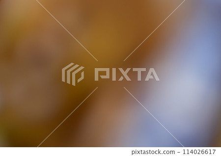Background material Gradient Mottled MIX Background material Gradient Mottled MIX 114026617