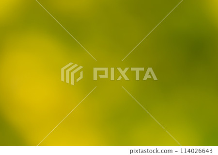 Background material Gradient Mottled MIX 114026643