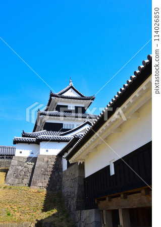  Shirakawa Komine城堡 114026850