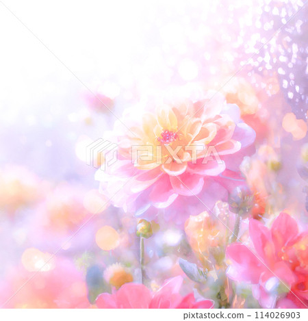 Soft pale colorful beautiful flowers illustration material Soft pale colorful beautiful flowers illustration material 114026903