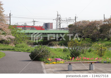 埼玉縣蓮田市,EH500型電力機車行駛在橫跨本荒川的鐵路橋上。 埼玉縣蓮田市,EH500型電力機車行駛在橫跨本荒川的鐵路橋上。 114027318