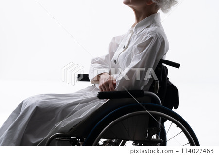 Wheelchair senior female silhouette 114027463