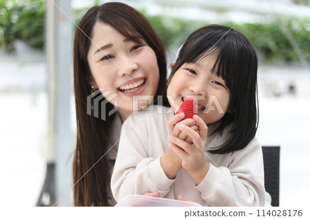 家長和孩子一起體驗採摘草莓的樂趣 114028176