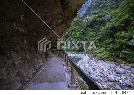 砂卡礑步道,台灣,花蓮,太魯閣,風景區,森林步道,Sanda、Taiwan、Hualien、Taro 砂卡礑步道,台灣,花蓮,太魯閣,風景區,森林步道,Sanda、Taiwan、Hualien、Taro 114028425