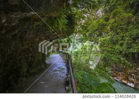 砂卡礑步道，台灣，花蓮，太魯閣，風景區，森林步道，Sanda、Taiwan、Hualien、Taro 114028428