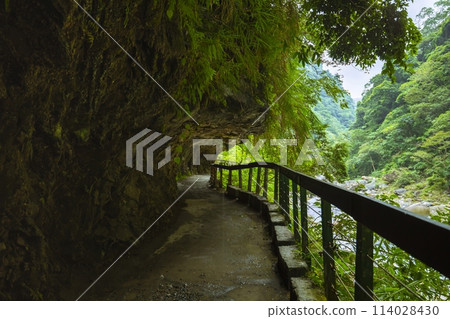 砂卡礑步道，台灣，花蓮，太魯閣，風景區，森林步道，Sanda、Taiwan、Hualien、Taro 114028430