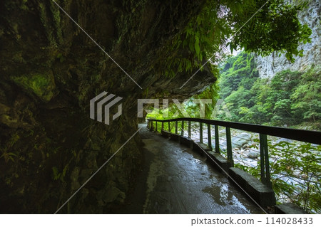 砂卡礑步道，台灣，花蓮，太魯閣，風景區，森林步道，Sanda、Taiwan、Hualien、Taro 114028433