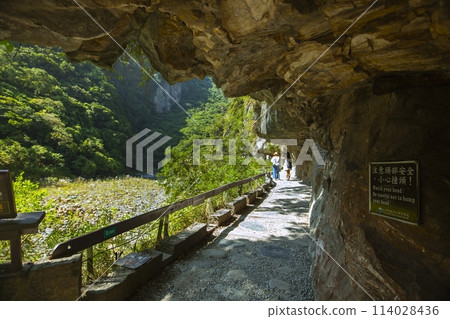 砂卡礑步道,台灣,花蓮,太魯閣,風景區,森林步道,Sanda、Taiwan、Hualien、Taro 砂卡礑步道,台灣,花蓮,太魯閣,風景區,森林步道,Sanda、Taiwan、Hualien、Taro 114028436