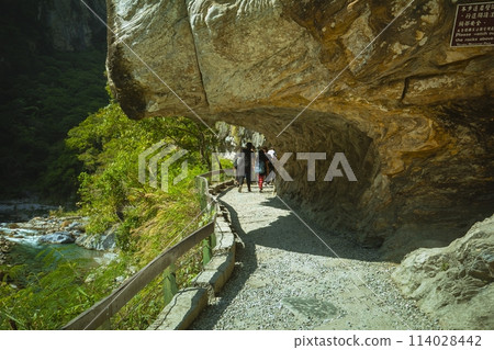 砂卡礑步道,台灣,花蓮,太魯閣,風景區,森林步道,Sanda、Taiwan、Hualien、Taro 砂卡礑步道,台灣,花蓮,太魯閣,風景區,森林步道,Sanda、Taiwan、Hualien、Taro 114028442