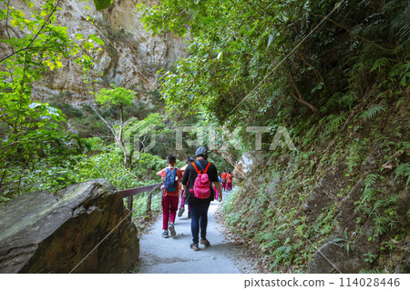 Shakadeng Trail, Taiwan, Hualien, Taroko, Scenic Area, Forest Trail, Sanda, Taiwan, Hualien, Taro Shakadeng Trail, Taiwan, Hualien, Taroko, Scenic Area, Forest Trail, Sanda, Taiwan, Hualien, Taro 114028446