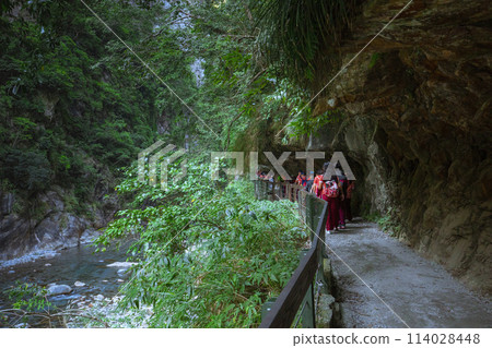 Shakadeng Trail, Taiwan, Hualien, Taroko, Scenic Area, Forest Trail, Sanda, Taiwan, Hualien, Taro Shakadeng Trail, Taiwan, Hualien, Taroko, Scenic Area, Forest Trail, Sanda, Taiwan, Hualien, Taro 114028448