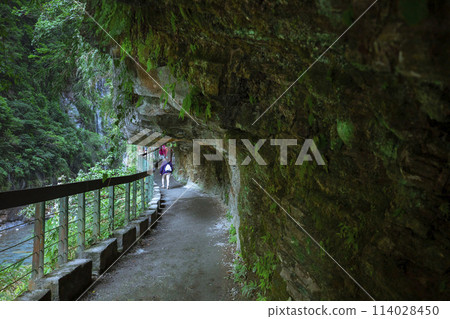 Shakadeng Trail, Taiwan, Hualien, Taroko, Scenic Area, Forest Trail, Sanda, Taiwan, Hualien, Taro 114028450