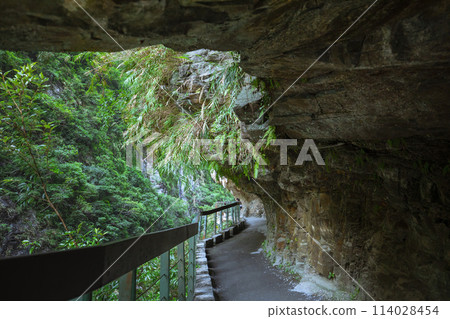 Shakadeng Trail, Taiwan, Hualien, Taroko, Scenic Area, Forest Trail, Sanda, Taiwan, Hualien, Taro Shakadeng Trail, Taiwan, Hualien, Taroko, Scenic Area, Forest Trail, Sanda, Taiwan, Hualien, Taro 114028454